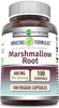 Amazing Nutrition Formulas Marshmallow Root Supplement | 480 Mg Per Serving | 100 Veggie Capsules | Non-GMO | Gluten | Made in USA