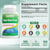Best Naturals Berberine 500mg 120 Capsules - Supports Immune Function Cardiovascular & Gastrointestinal Function (120 Count (Pack of 1))