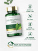 Carlyle Chlorophyll Pills | 90 Capsules | Naturally Occurring Pigment | Chlorophyll Concentrate Supplement | Non-GMO Gluten Complex