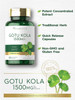 Carlyle Gotu Kola Capsules 1500mg | 180 Count | Non-GMO Gluten | Traditional Herb Extract