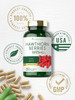 Carlyle Hawthorn Berry Capsules | 1695mg | 250 Capsules | Non-GMO Gluten Extract