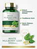 Carlyle Mulberry Leaf Extract | 3000mg | 100 Capsules | Non-GMO and Gluten Herbal Supplement