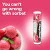 Chapstick Lip Moisturizer Raspberry Sorbet 12-Pack – Bulk Lip Balm Luscious & Sweet 0.15 Oz Ea