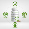 Deal Supplement Mullein Leaf Extract 20000mg 240 Veggie Capsules – 4 Month Supply – Natural Lung Detox Herbal Supplement – Supports Respiratory & Immune Health – Non-GMO Vegan Deal Supplement Mullein Leaf Extract 20000mg 240 Veggie Capsules – 4 Month Supply – Natural Lung Detox Herbal Supplement – Supports Respiratory & Immune Health – Non-GMO Vegan