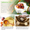 Elbbub Raw Batana Oil for Hair Growth and Repair -100% Pure Unrefined Oil from Honduran Rainforests Prevent Hair Loss and Enhances Hair Thickness in Men & Women Elbbub Raw Batana Oil for Hair Growth and Repair -100% Pure Unrefined Oil from Honduran Rainforests Prevent Hair Loss and Enhances Hair Thickness in Men & Women