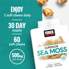 Force Factor Superior Sea Moss Premium Irish Sea Moss to Support Energy Immunity Gut Health & Skin Health Non-GMO Gluten Salted Caramel Flavor 60 Soft Chews