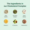Hey Nutrition Cholesterol Complex Supplement - with Plant Sterols & Pine Bark Extract - Advanced Cholesterol Support - 90 Tablets/30 Servings - Non-GMO Vegan