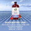 Maryruth Organics | Liquid Iron Supplement Prenatal & Postnatal for Pregnant & Lactating | Iron Deficiency | Immune Support | Sugar/Gluten | Vegan | Non-GMO | 15.22 Fl Oz
