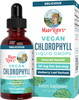 Maryruth Organics Chlorophyll Liquid Drops Clean Label Project ® Vegan Non-Diluted Liquid Chlorophyll| Mulberry Derived Supplement for Ages 14+ Non-GMO Delicious Minty Flavor 2 Fl Oz