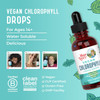 Maryruth Organics Chlorophyll Liquid Drops Clean Label Project ® Vegan Non-Diluted Liquid Chlorophyll| Mulberry Derived Supplement for Ages 14+ Non-GMO Delicious Minty Flavor 2 Fl Oz