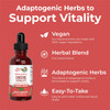 Maryruth Organics Herbal Supplement for Brain Function | Boost Energy | Memory | Vitality USDA | Ginseng with Ashwagandha | Eleuthero and Maca Root Extract | 1 Fl Oz