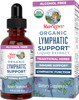 Maryruth Organics Lymphatic Support Drops by | USDA Organic Lymphatic Cleanse Immune Support Supplement| Lymphatic Support with Echinacea & Elderberry | Blue Vervain | Vegan | Non-GMO | 30 Servings