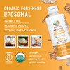 Maryruth Organics Organic Lions Mane Supplement by | Ultra Absorption Liposomal | Full Spectrum Lion's Mane Mushroom | 200mg Beta-Glucans Per Serving | USDA Organic | Vegan | 7.6 oz | 15 Servings
