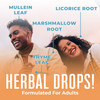 Maryruth Organics USDA Organic Throat Spray with Mullein Leaf by | Marshmallow Root & Licorice Root & Thyme Leaf | 4 Herbal Blend | Non-GMO | Vegan | Gluten | 1 Fl Oz | Up to 100 Servings