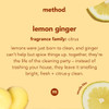 Method Squirt + Mop Hard Floor Cleaner Lemon Ginger 25 Ounce 3 pack Packaging May Vary