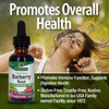 Nature'S Answer Barberry Root with Organic Low Alcohol 1-Fluid Ounce | Promotes Immune Function | Supports Digestive Health