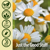 Nature'S Answer Chamomile Flower 90 Vegetarian Capsules | Relaxation Support | Helps with Digestion | Natural Calming Aid (Pack of 1) Nature'S Answer Chamomile Flower 90 Vegetarian Capsules | Relaxation Support | Helps with Digestion | Natural Calming Aid (Pack of 1)