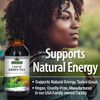 Nature'S Answer Green Tea with Orac Berry Flavor 2-Fluid Ounces