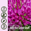 Nature'S Answer Red Clover Flowering Tops 1-Fluid Ounces | Natural Mood Support | Hormone Balance for Women | Menopausal Support