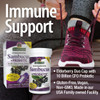 Nature'S Answer Sambucus + Probiotic | 32000mg Standardized Fresh Elderberry Duo Cap with 10 Billion CFU Probiotic | Gluten- Non-GMO | 60-Capsules | Single Count
