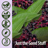 Nature'S Answer Sambucus Black Elder Berry Extract Syrup in Plastic Bottle Alcohol- 8-Fluid Ounces | Daily Immune Support | Packed with Antioxidants | Family Friendly | Flue Season Defender