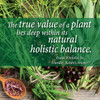Nature'S Answer St. John's Wort Alcohol- Liquid Extract (Hypericum Perforatum) | Healthy Mood Support | Non-GMO Kosher & Gluten- 1oz Nature'S Answer St. John's Wort Alcohol- Liquid Extract (Hypericum Perforatum) | Healthy Mood Support | Non-GMO Kosher & Gluten- 1oz