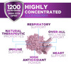 Nature'S Nutrition Elderberry Immune Support 10:1 Extract Capsule - Daily Immune Support Supplement for Adults Natural Sambucus Black Elderberry Antioxidant Vegan Vitamin Sugar & Gluten Non-GMO - 120 Capsules Nature'S Nutrition Elderberry Immune Support 10:1 Extract Capsule - Daily Immune Support Supplement for Adults Natural Sambucus Black Elderberry Antioxidant Vegan Vitamin Sugar & Gluten Non-GMO - 120 Capsules
