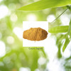 Nature'S Sunshine Cascara Sagrada 100 Vegitabs Nature'S Sunshine Cascara Sagrada 100 Vegitabs