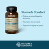 Nature'S Sunshine Stomach Comfort 60 Chewable Tablets | Helps Neutralize Acid and Soothe the Stomach by Supporting Digestion