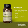 Nature'S Sunshine Wild Yam 100 Capsules | Supports and Balances the Female Glandular System