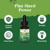 Natures Craft Liquid Multivitamin for Kids Immunity Support - Yummy Toddler Multivitamin Supplement with a C D3 E B6 and D3 Liquid Vitamins for Kids of All Ages - High Absorption Kids Liquid Multivitamin (2 Pack) Natures Craft Liquid Multivitamin for Kids Immunity Support - Yummy Toddler Multivitamin Supplement with a C D3 E B6 and D3 Liquid Vitamins for Kids of All Ages - High Absorption Kids Liquid Multivitamin (2 Pack)
