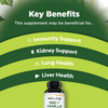 Natures Craft NAC Supplement N-Acetyl Cysteine with Vanilla - Detox Cleanse Liver Supplement with Amino Acids for Liver Detox and Kidney Cleanse - High Absorption NAC 600mg Amino Acids Supplement for Liver Support