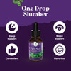 Natures Craft Potent Liquid Kava Kava Drops - Calming High Concentration Kava Extract with Chamomile and Lavender - Tasty Adaptogen Drops Mood Support Supplement with Kava Root - Vegan Non GMO and Alcohol