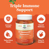 Natures Craft Vegan Organic Immune Support Gummies - D3 Zinc and Vitamin C Gummies for Adults Immunity - Organic Vitamin D Gummies for Adults Immune Support Supplement - Gluten & Non-GMO (30 Servings)