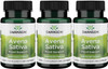 Swanson Full Spectrum Avena Sativa (Green Oat Grass) - Herbal Supplement Promoting Nervous System Health - Natural Formula Supporting Overall Wellness - (60 Capsules 400mg Each) 3 Pack