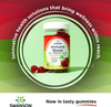 Swanson Immune Boost Gummies with Acerola Zinc Vitamin C and D - 60 Cherry Gummies - Supplement for a Healthy Immune System