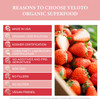 Veloto Organic Strawberry Powder Strawberry Fruit ze Dried Powder Vitamin C Supplement Natural Antioxidants Superfoods For Smoothie & Beverage Blend Vegan Non-Gmo Gluten- 12 Oz