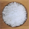Celtic Sea Salt Gourmet her 16 Ounce Celtic Sea Salt Gourmet her 16 Ounce