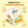 Teazen 3 Flavors 40 Sticks Variety Pack Grapefruit Drink Mix (20 Sticks) and Kombucha Lemon Citron Flavor (20 Sticks)