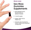 Sea Moss Gummies - Enriched With Irish Sea Moss, Burdock Root And Bladderwrack - High Strength 3000Mg Vegan Vitamin Gummies - Seamoss Gummies Made In Uk By Leaf 60 Gummys