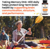 Neuroq Memory Dha-400 - Omega-3 Fish Oil Supplement - Mental Performance & Balance - Supports Neuro Brain Health - Protects Against Memory Loss & Improves Focus - 120 Softgels