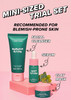 I Dew Care Heartleaf Skincare Set - Kitten My Balance On + Sheet Mask Pack - Let'S Do This Sheet, (5 Ea) Bundle