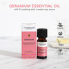 Tisserand Aromatherapy - Geranium Essential Oil - Ethically Harvested - 100% Pure Essential Oil - 9 Ml
