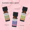 Tisserand Aromatherapy - Geranium Essential Oil - Ethically Harvested - 100% Pure Essential Oil - 9 Ml