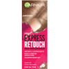 Garnier Hair Color Express Retouch Gray Hair Conceale