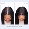 COLOR WOW Root Cover Up, 2.1g - Black