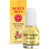 Burt's Bees Stocking Stuffers, Gua Sha Face Oil With Rosehip Seed Extract, Reduces Appearance of Fine Lines and Wrinkles, Use with Ice Roller & Facial Tools, Natural Origin Skin Care, 0.51 fl. oz.