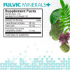 Zeolite Fulvic Pack