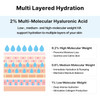 2% Hyaluronic Acid Serum With Vitamin B5, Hyalu B5 Intense Hydrating Serum For Face, Moisturizing, Anti-Aging For Fine Lines, Visibly Plumps Skin, Fast Absorbing, Korean Skincare, 4Fl Oz