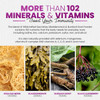 Sakoon Nutrition Irish Sea Moss Gummies W/Elderberry & Black Seed Oil - Beauty, Joints & Immune Support  Rich In Vitamins, Raspberry Flavor  60 Gummies
